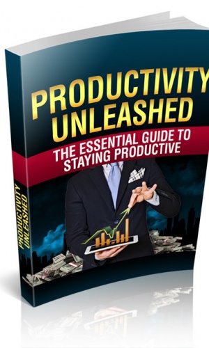 Productivity Unleashed | Ebook